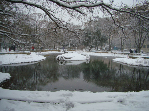 35955 (a): :1600x1200